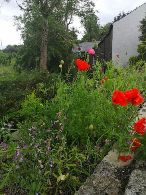 Riverside Cottage At Logwood Mill Ballyclare Exterior foto