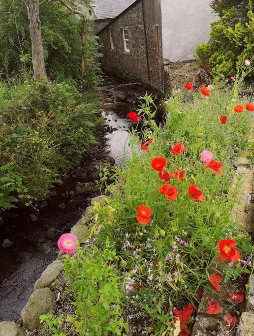 Riverside Cottage At Logwood Mill Ballyclare Exterior foto